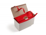 Festive Red Ribbon and Tissue